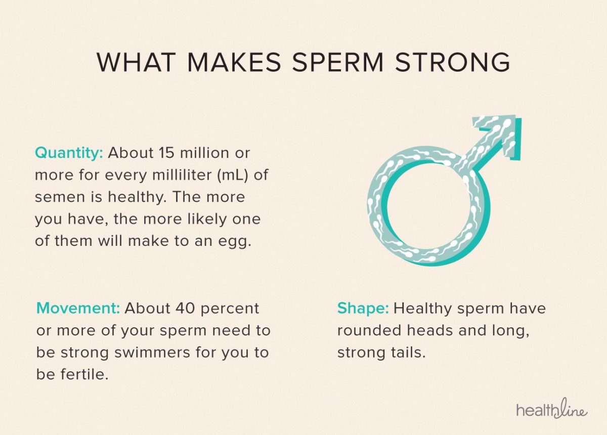 The 7Step Checklist to Healthy, Fertile Sperm Essence ROOTS